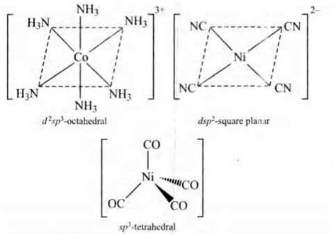 Draw the structures of [Co(NH3)6]3-,[Ni(CN)4]2 and [Ni(CO)4] Write the ...