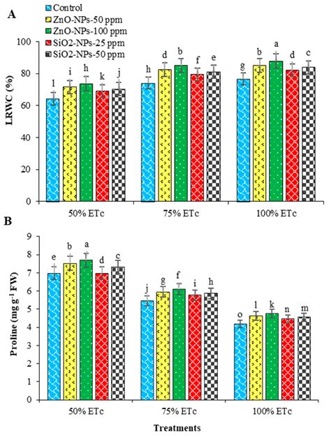 Effects of Zinc Oxide and Silicon Dioxide Nanoparticles on ...