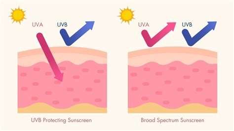 How Does Sunscreen Work 的图像结果