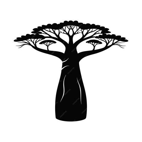 Baobab Silhouette