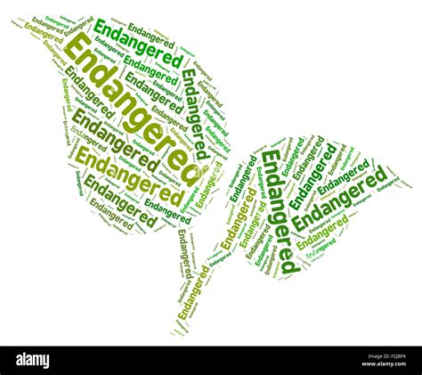 Endangered Word Meaning Facing Extinction And Threatened Stock Photo - Alamy