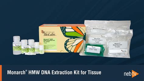 Tumor Tissue Homogenization Protocol 的图像结果