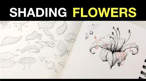 3 Tips on How to Shade Flowers | How to Draw Flowers Pt2 - YouTube