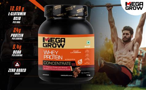 Megagrow Whey Protein Concentrate 1kg Chocolate Flavor,28 Servings-24g ...