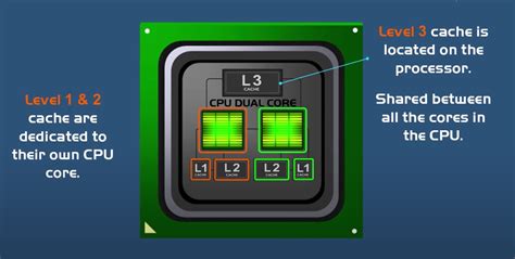 Image result for CPU Cache Explained