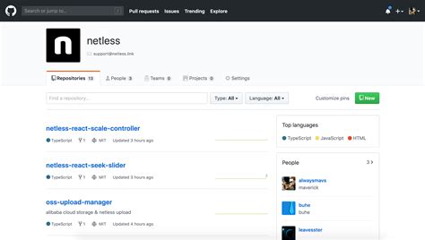 Netless Script 的图像结果