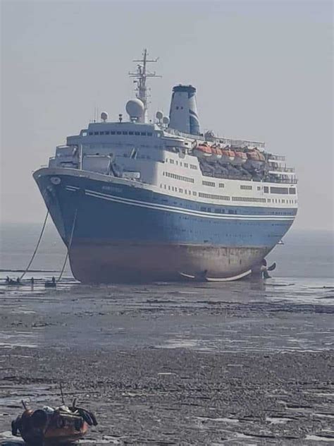 Buy the marco polo - In stock