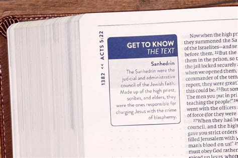 Text Text 的图像结果