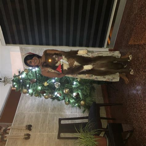 ROMA EXPERIENCE (2026) All You Need to Know BEFORE You Go (with Photos ...