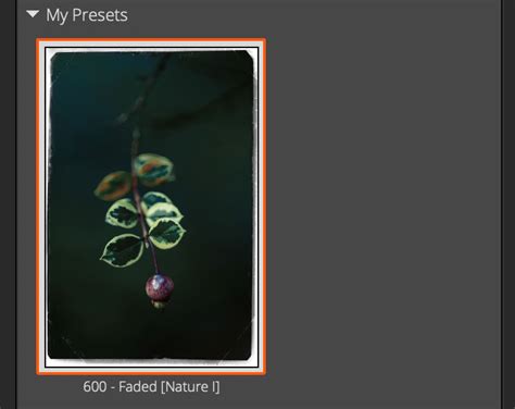 Image result for Develop Module