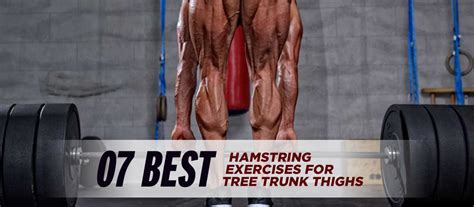 7 Best Hamstring Exercises For Tree Trunk Thighs - CrazyBulk.in