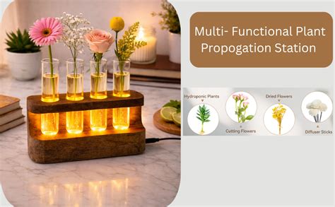 THE UNIQUE DESIGNS LED Test Tube Plant Propagation Station with Wooden ...