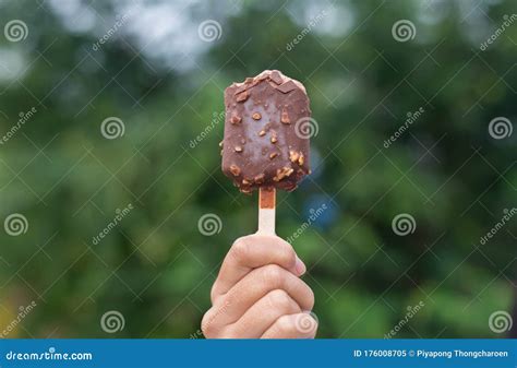 Hands Woman Holding Chocolate Ice Cream Waffle Cone Calories at Nature ...