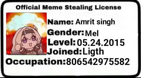 Meme Stealing License Meme Generator - Piñata Farms - The best meme ...