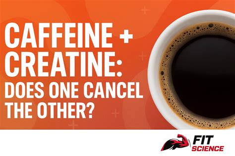 Caffeine + Creatine: Does One Cancel The Other? - Fit Science