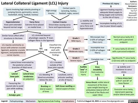 Lateral Collateral Ligament (LCL) Injury | Calgary GuideCalgary Guide