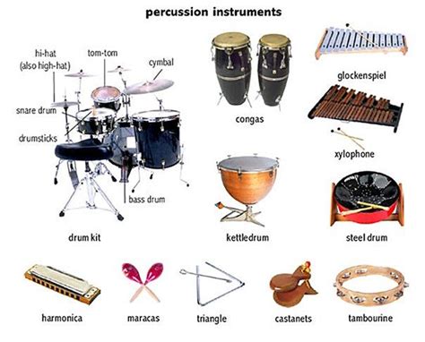 Image result for percussion instruments