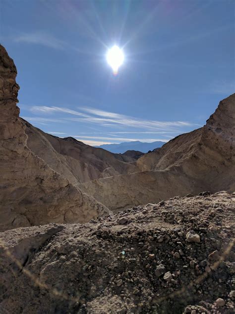 Sunshine at Death Valley National Park - wildlife in death valley national park