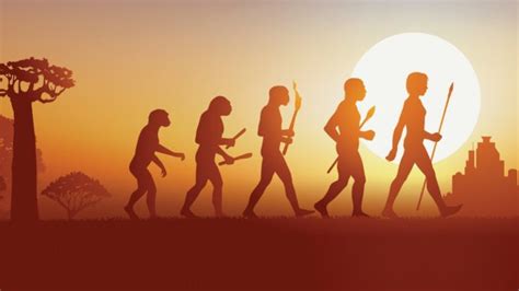 Modern Man Evolution 的图像结果