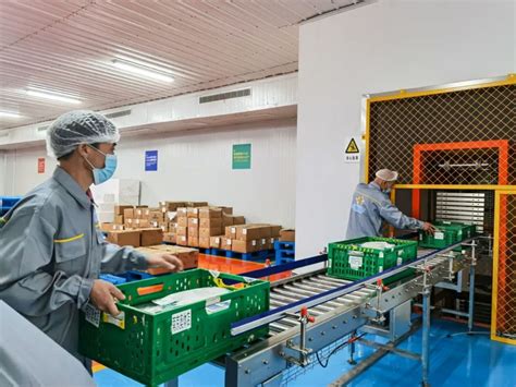 朝鲜企业|葛麻食品厂正在生产优质水产加工品