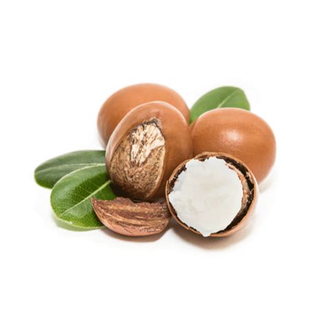 Zafaloe - The Ayurveda Experience IN