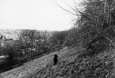 Searching Picture Sheffield