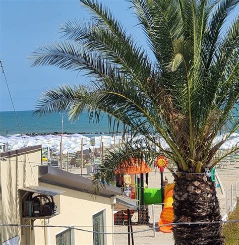 ARISTON HOTEL (Porto Garibaldi) - Hotel Reviews, Photos, Rate ...