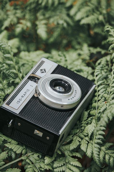 Vintage 35 Mm Cameras · Free Stock Photo