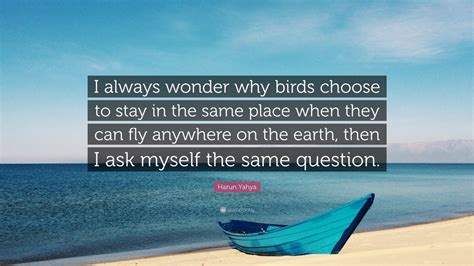 Harun Yahya Quote: “I always wonder why birds choose to stay in the ...