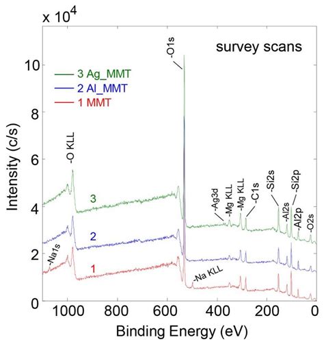 Metal-Modified Montmorillonite as Plasmonic Microstructure for Direct ...