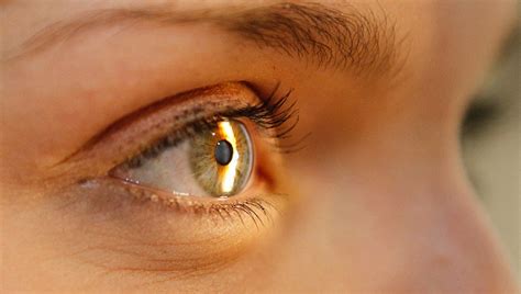 Popular weight-loss drugs could increase risk of developing eye ...