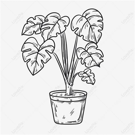 Top 999+ plant drawing images – Amazing Collection plant drawing images ...