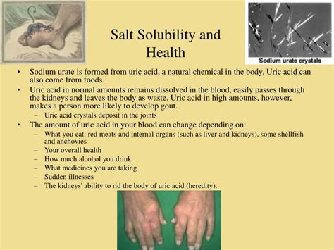 Solubility Process 的图像结果