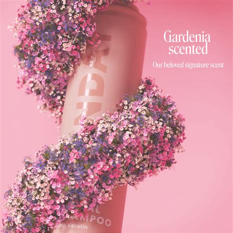 VOLUME | MONDAY Haircare