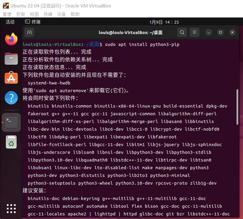 Buildozer Python 的图像结果