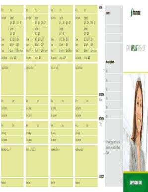 YOUR ImplAnt PASSPORT - Straumann - Fill and Sign Printable Template Online
