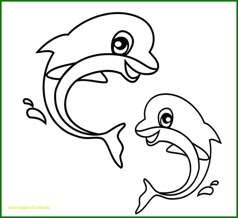 Coloring Pages Of Farm Animals For Preschoolers at GetColorings.com ...