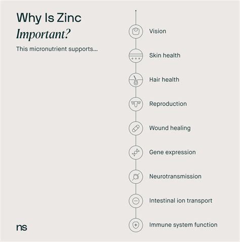 Zinc for Hair Loss: What the Science Says - Nutrisense Journal