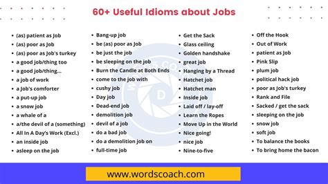 60+ Useful Sayings & Idioms about Jobs - Word Coach