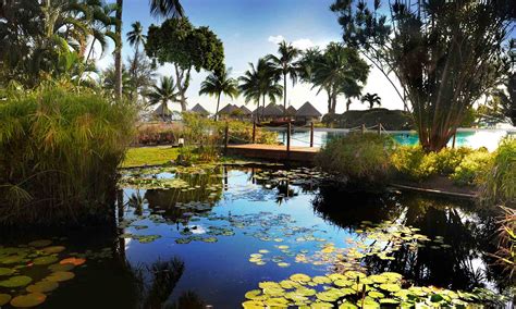 Tahiti Vacation Packages, Honeymoons & All-Inclusives | Tahiti Legends