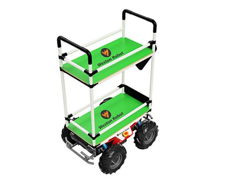 Scout Mini Robot 的图像结果