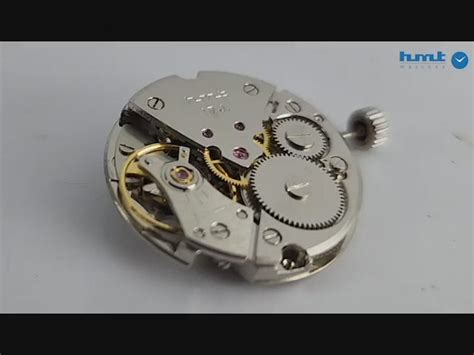 HMT Sona Golden Dial Pocket Watch – A Timeless Classic – Discover-Diamonds