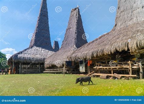 Ratenggaro Village at Sumba, East Nusa Tenggara, Indonesia Stock Photo ...