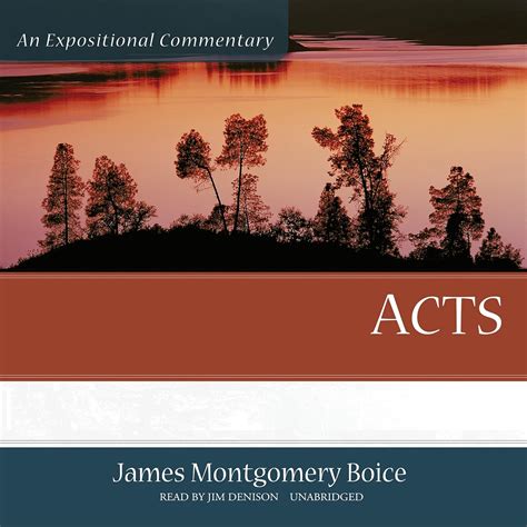 Buy Acts: An Expositional Commentary Book Online at Low Prices in India ...