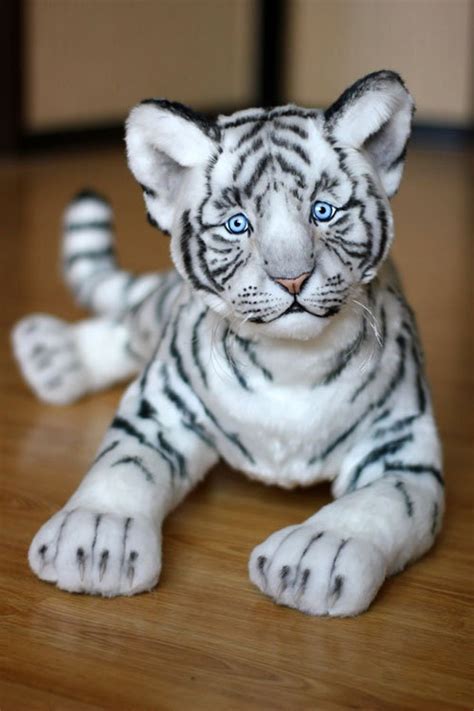 White Tiger-57cm. Wild Cat, Tiger Cub Baby, White Tiger, Wild Animals ...