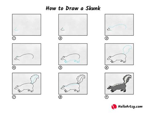 How to Draw a Skunk - HelloArtsy