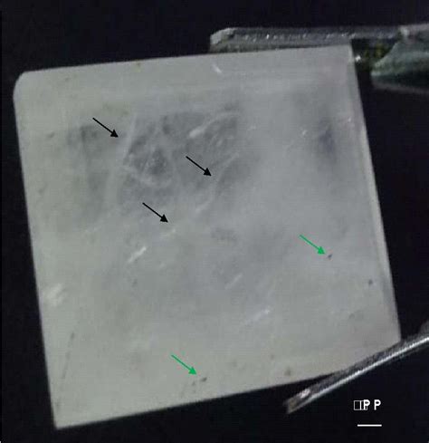 Visual Optics Gem 的图像结果