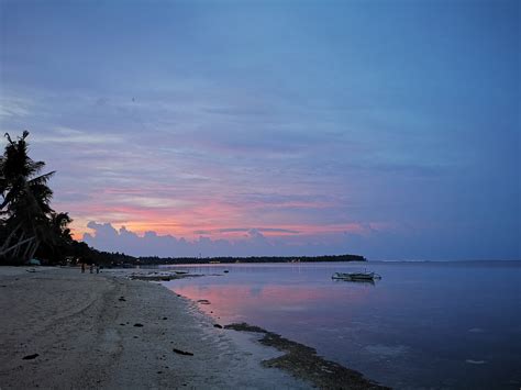 Cebu Lechon 的图像结果