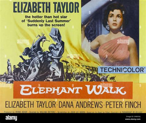 Elizabeth Taylor Poster Film: Elephant Walk (1954) Characters: Ruth ...