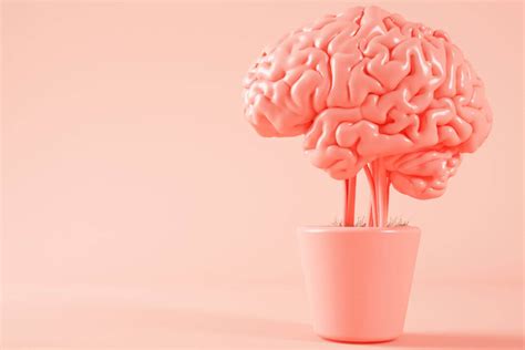 Image result for Improving Brain Function and Memory